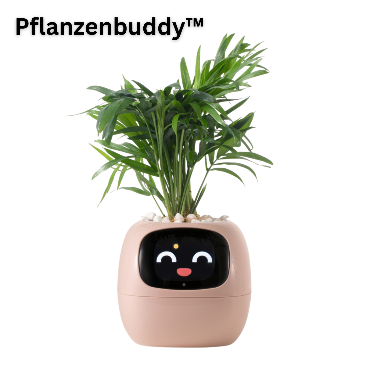 PflanzenBuddy - smarter AI-Pflanzenfreund