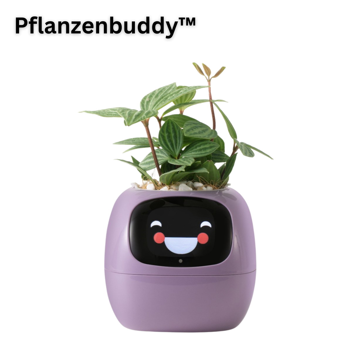 PflanzenBuddy - smarter AI-Pflanzenfreund