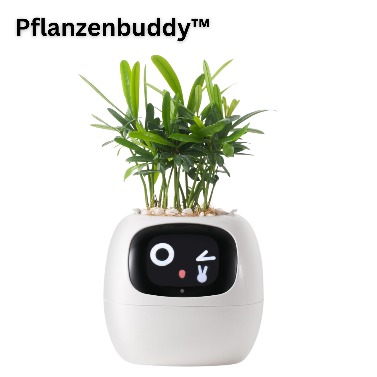 PflanzenBuddy - smarter AI-Pflanzenfreund