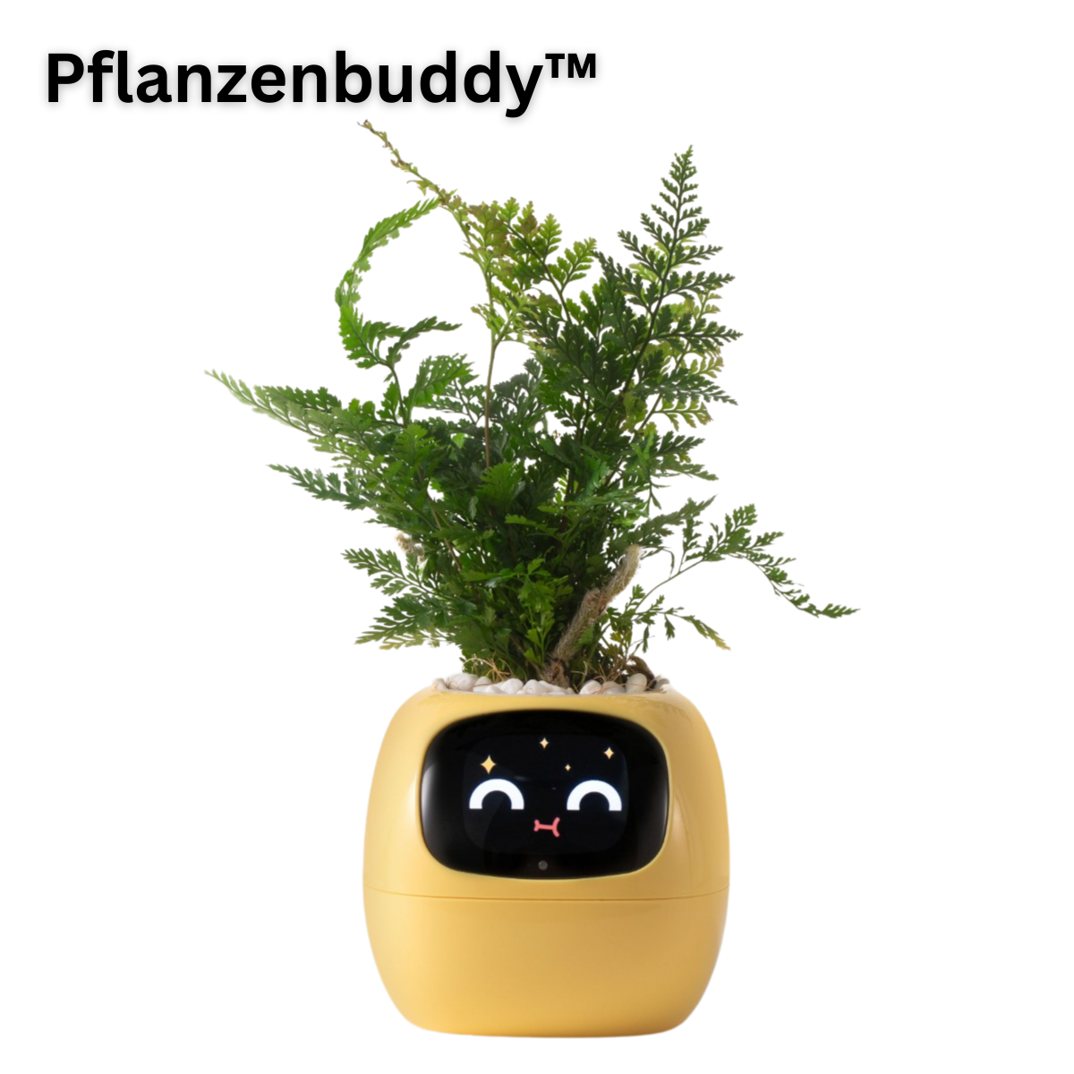 PflanzenBuddy - smarter AI-Pflanzenfreund
